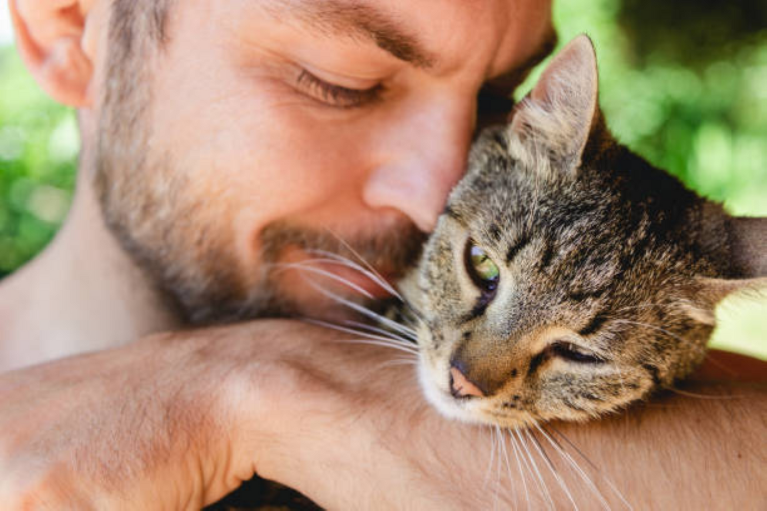 Cat Rescue