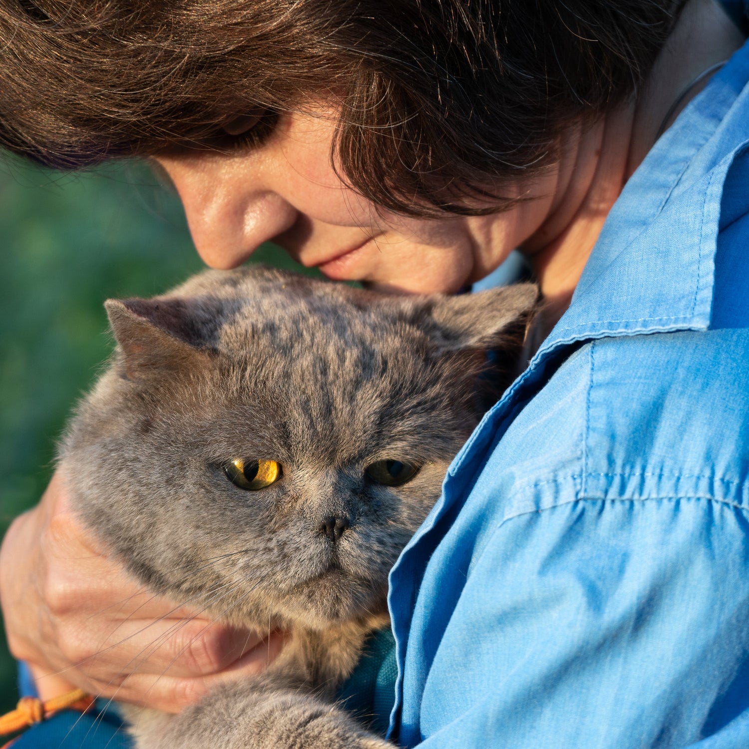 Cat Rescue