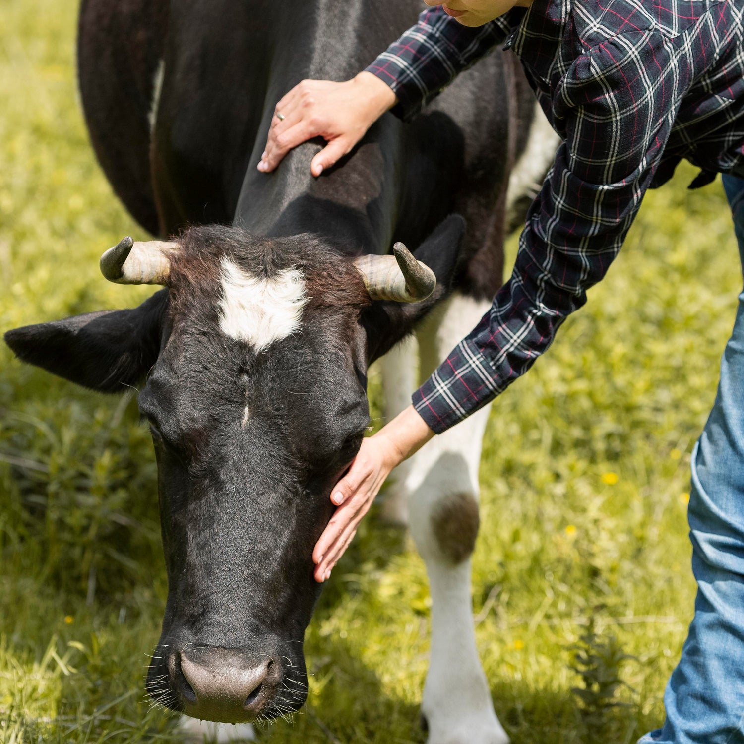 Farm & Wildlife