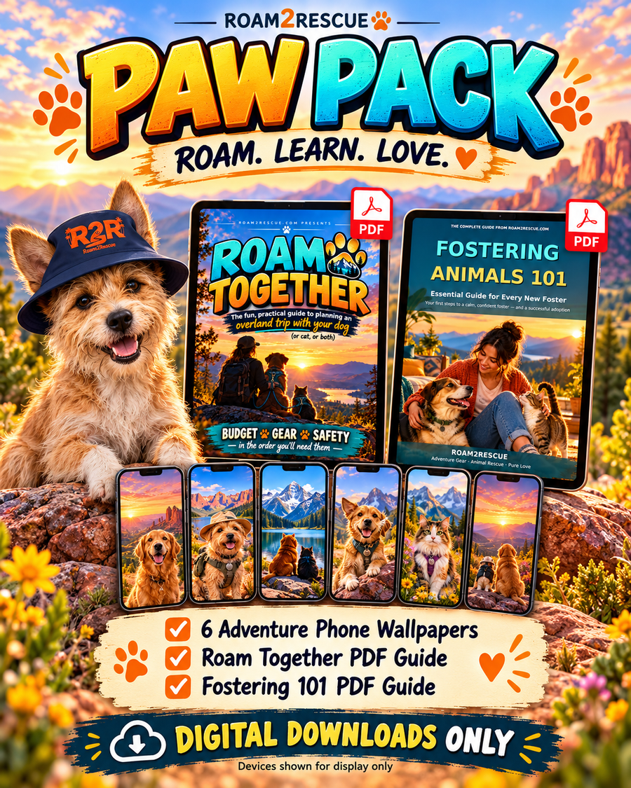 Paw Pack Quick Entry Pack: phone wallpapers plus Roam Together and Fostering Animals 101 PDF guides