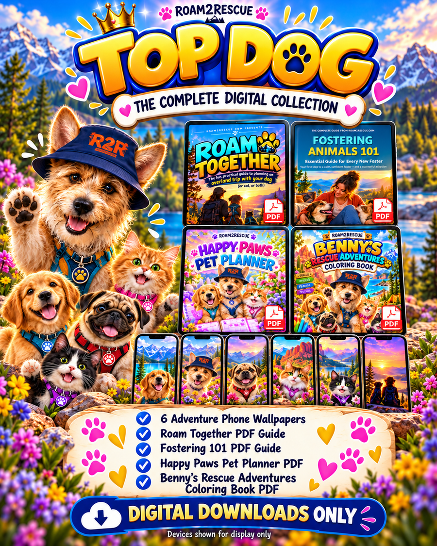 Top Dog Quick Entry Pack: phone wallpapers, two PDF guides, pet planner and Benny's coloring book