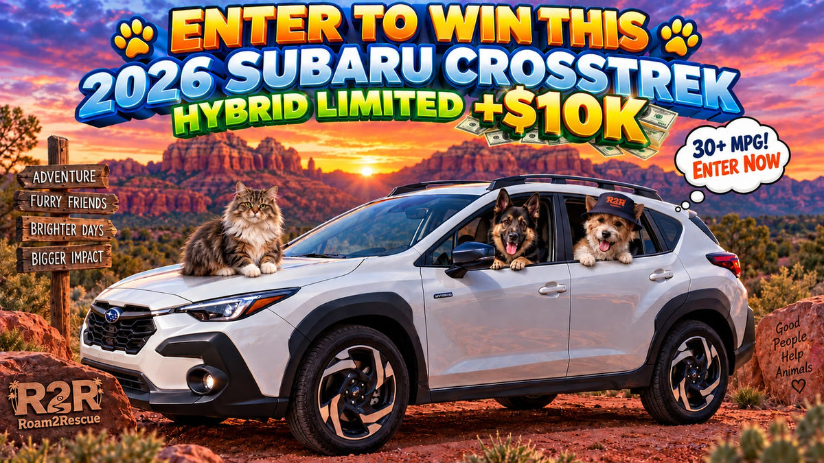 Roam2Rescue Subaru Crosstrek Hybrid and $10,000 giveaway with Benny and animal friends